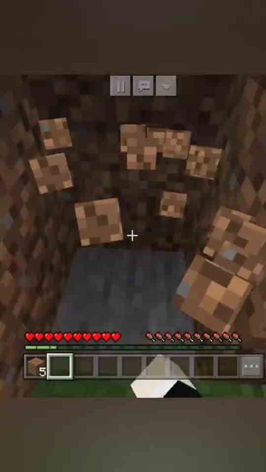 Minecraft最珍贵的房子