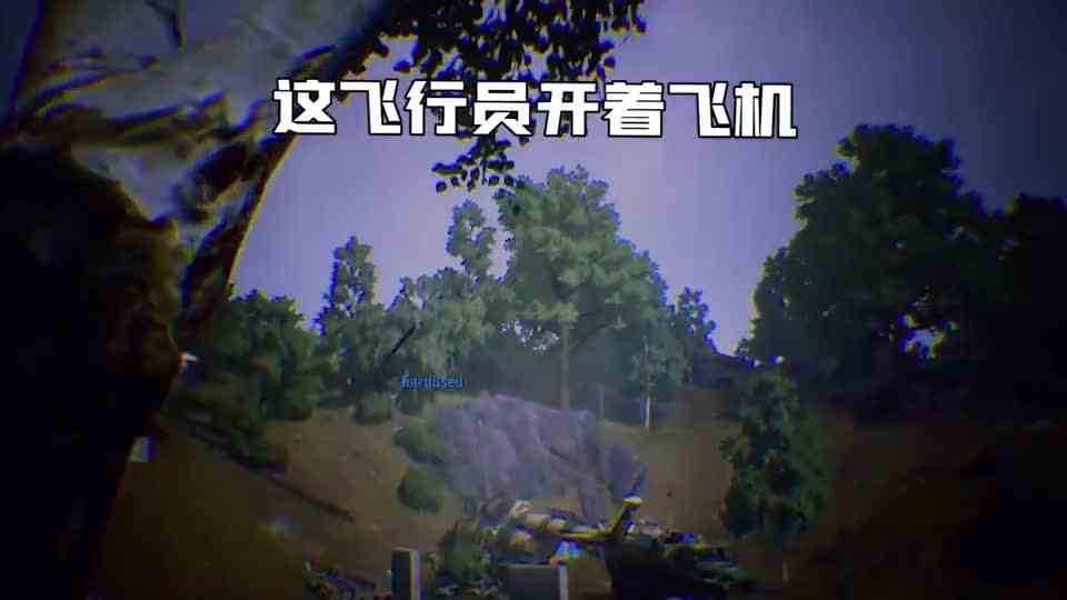 这或许就是老外痛恨中国玩家的原因