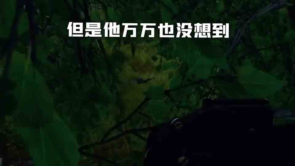 这可能就是老外痛恨中国玩家的原因