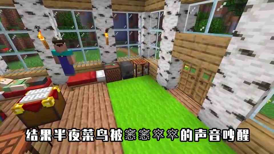 我的世界：菜鸟和野猫合体？本想追回小偷，却开始攻击队友