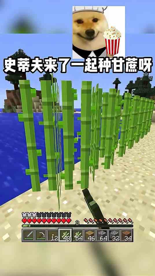 我的世界：梦轩的合情合理外挂史蒂夫 67