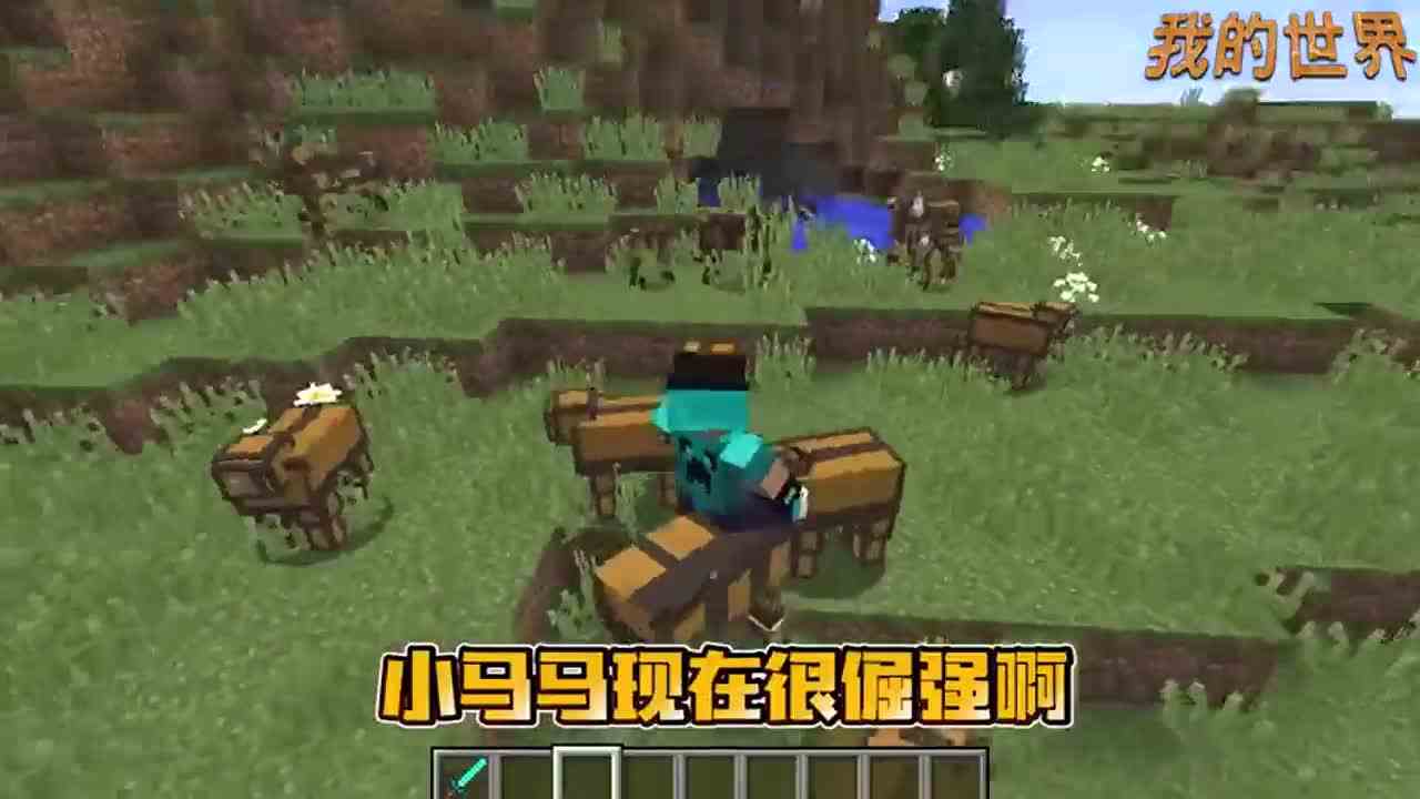 我的世界：把麦块中所有生物变成箱子之后，马和鸡分不清