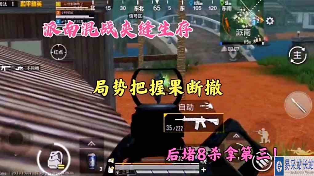 派南混战夹缝生存，局势把握果断撤，后堵8杀拿第三！