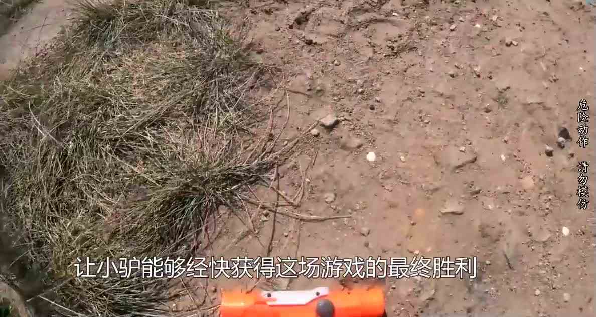 当你在吃鸡游戏中发现暑假作业答案？第一视角带你抢答案！刺激！