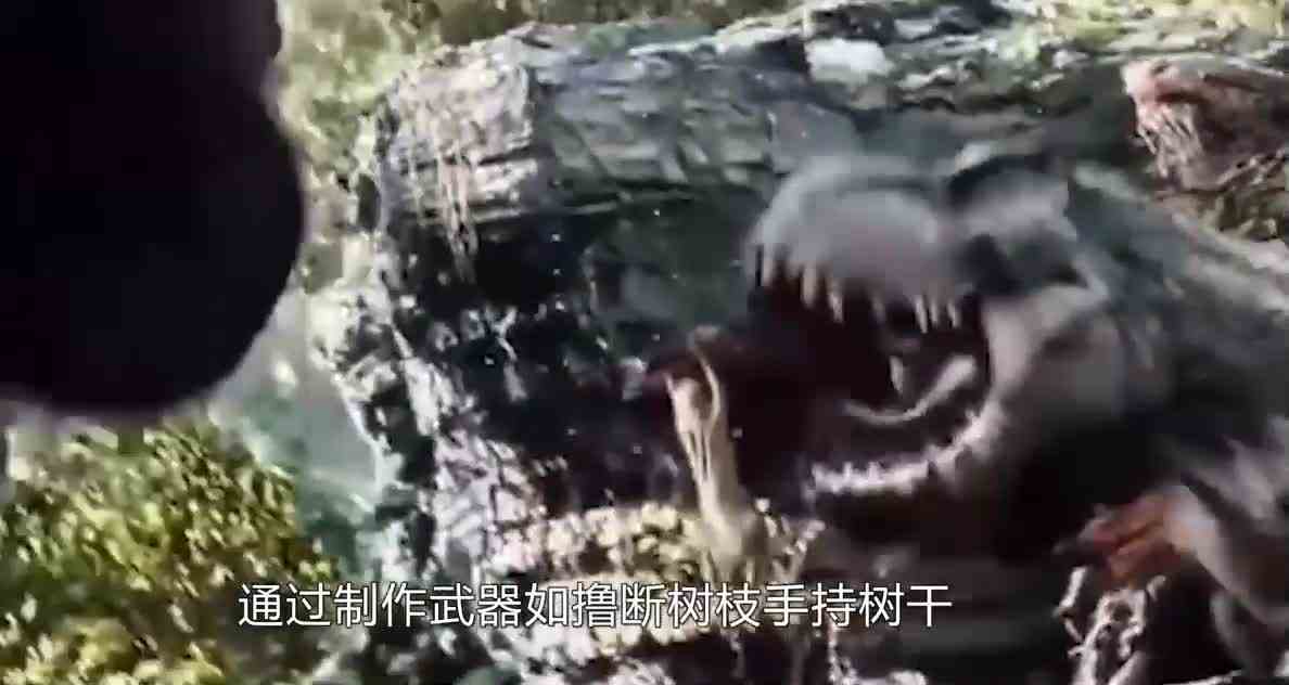 史诗级大猩猩金刚对战绿巨人，究竟谁更胜一筹！