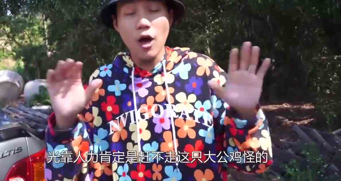 公鸡偷吃马里奥的蘑菇了吗这么大？它竟然是霸王龙的后代