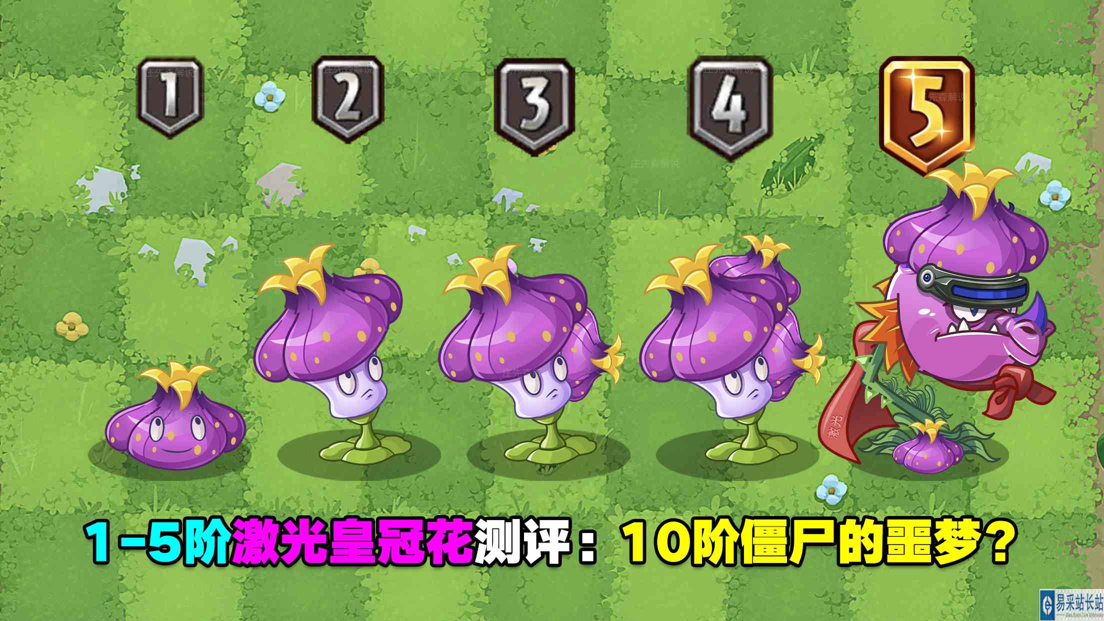 1\-5阶激光皇冠花测评：10阶僵尸的噩梦？性价比熊果甩他100条街？#最强射手组
