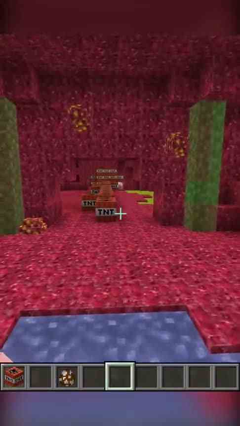 我的世界：它里面有什么？