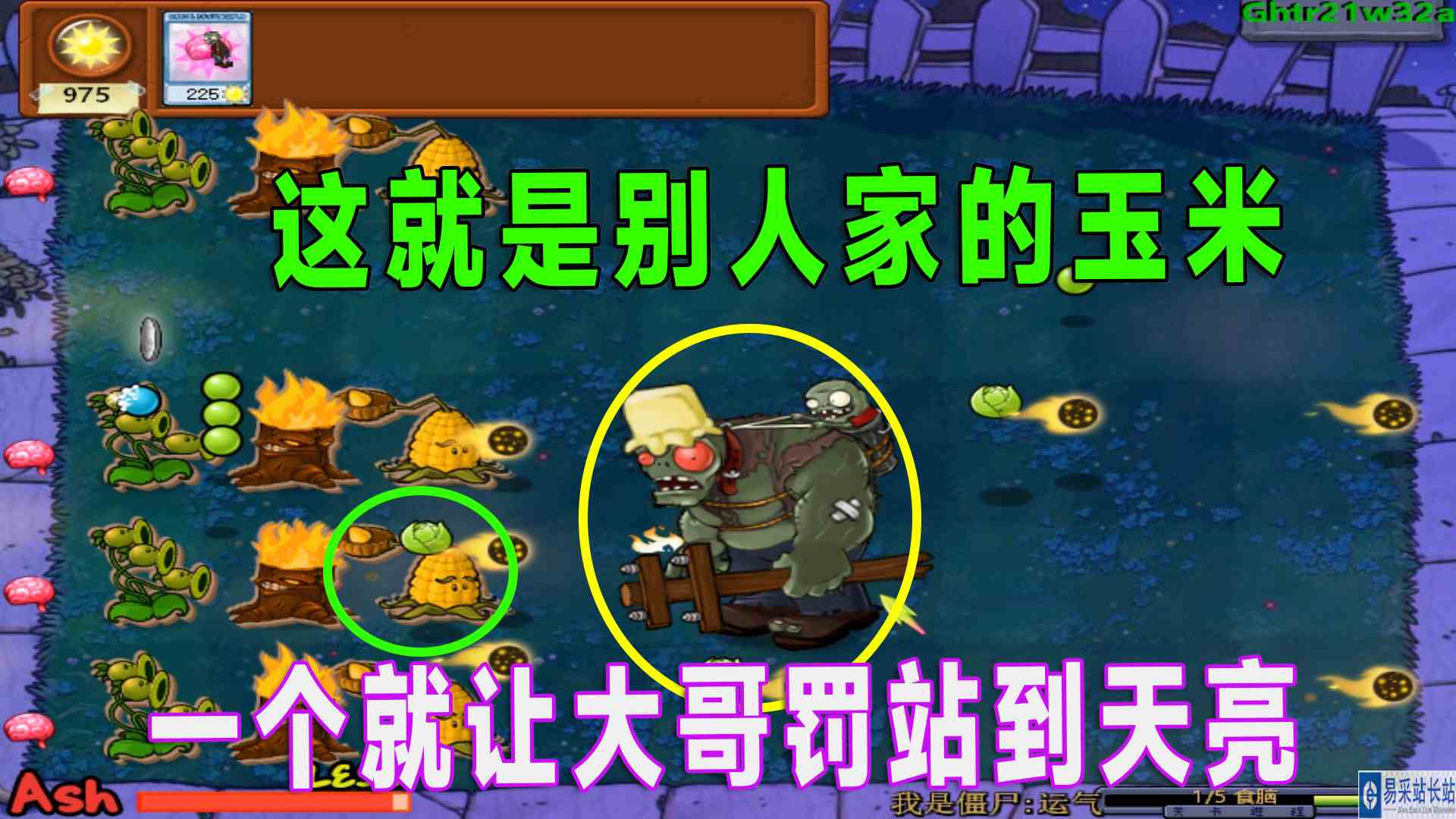 植物大战僵尸：一次机会，这阵容难度不小呀#植物大战僵尸