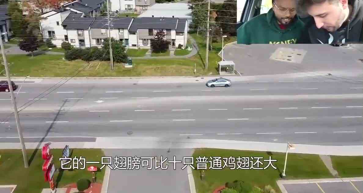 无人机看到疯狂小鸡人，索尼克快买点鸡饲料给它吃！