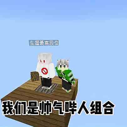 我的世界单方快生存
