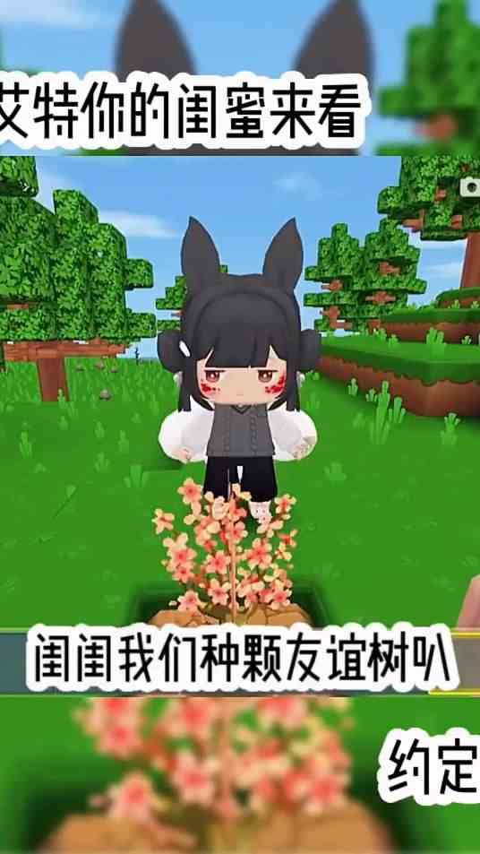 友谊的约定，你看懂了吗？