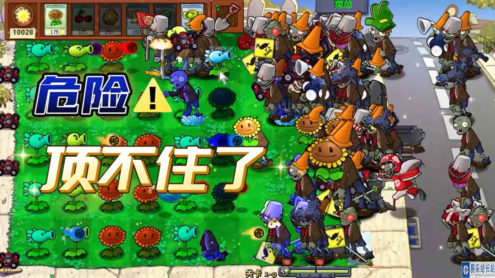 植物大战僵尸CL版：给点面子啊，我快顶不住了#植物大战僵尸#pvz