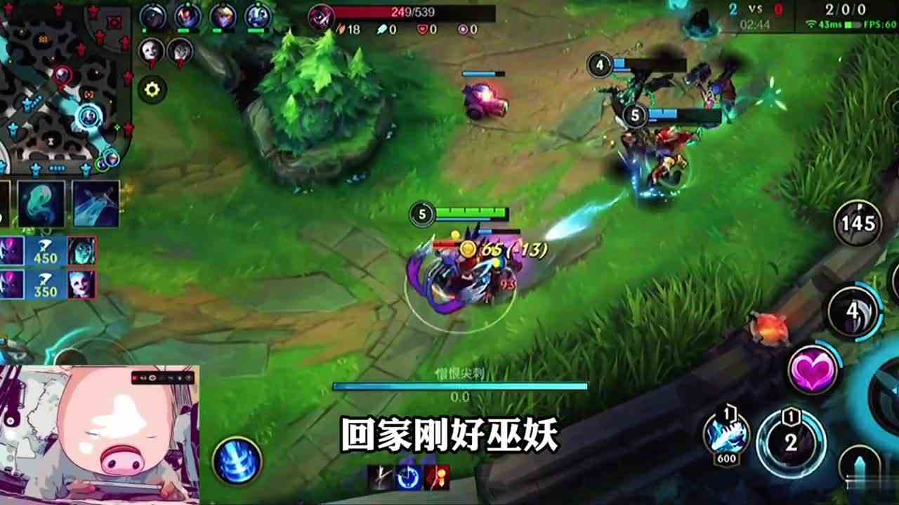 伊芙琳实战教学老素材了之前忘记发了哈哈哈~