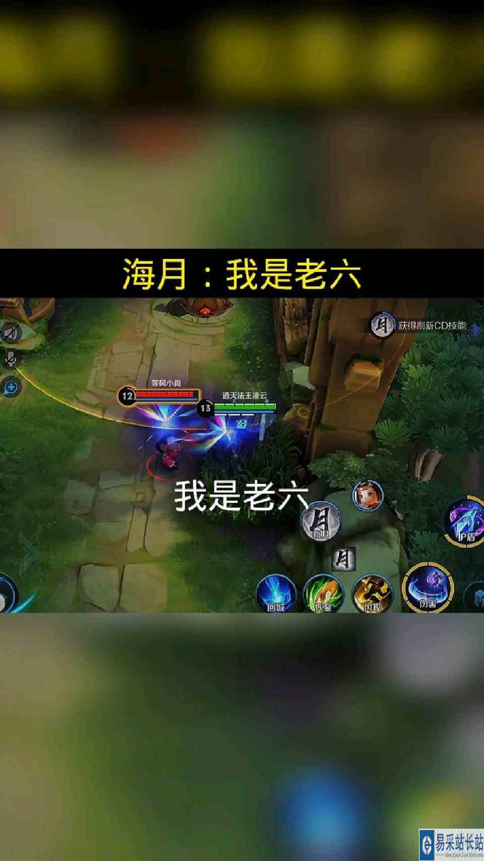 海月：我是老六