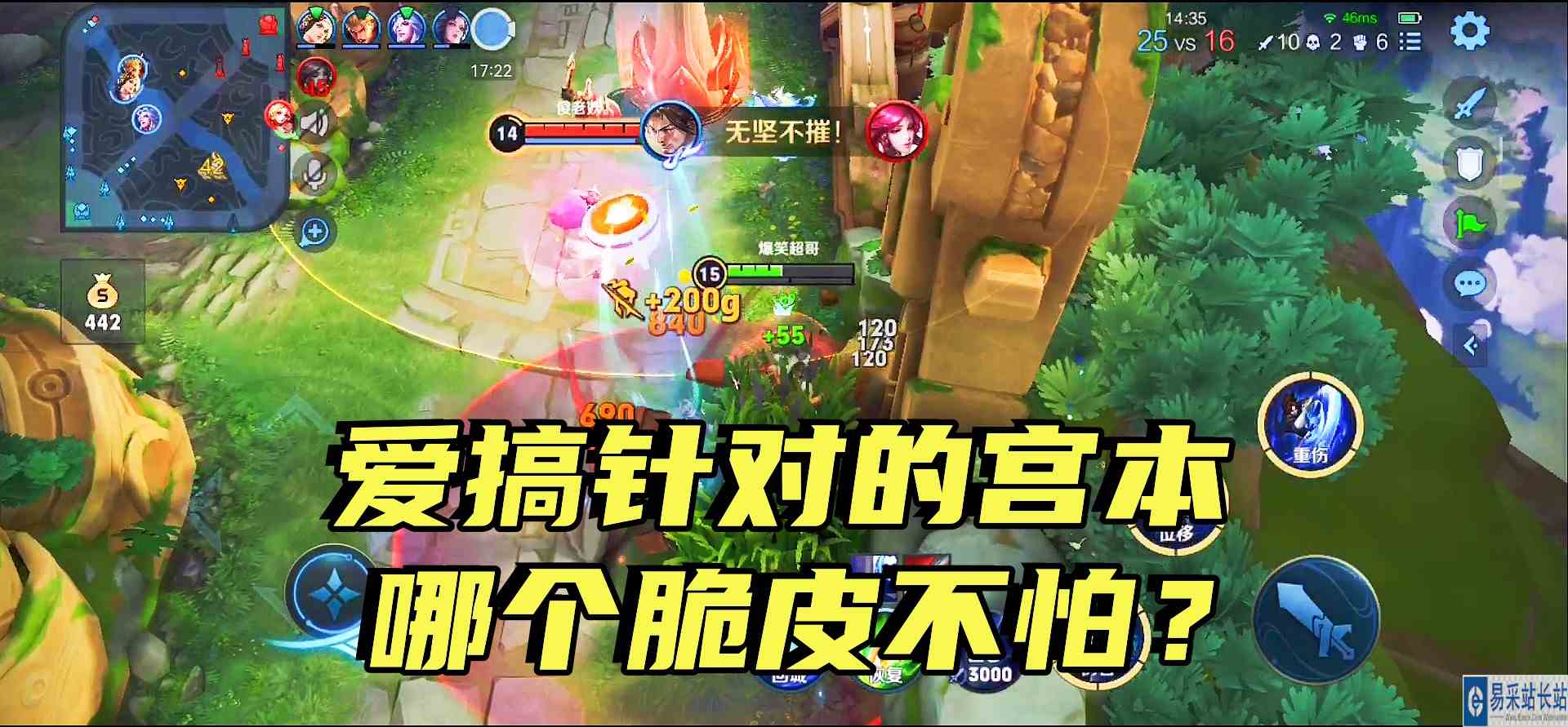 一个喜欢搞针对的宫本有多恐怖？伽罗：一露脸就死，完全没法玩了#最强打野组#游戏解说