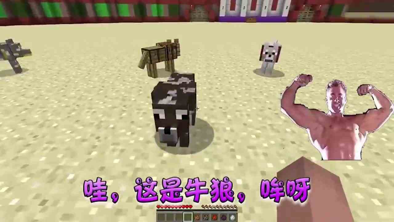 我的世界：更多狼狼模组，各种反生物学构造憨憨狼