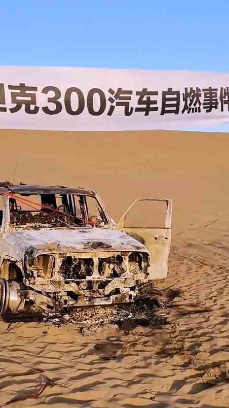 沙漠坦克300几乎占了百分之六十！听说无敌2档！结果着了！