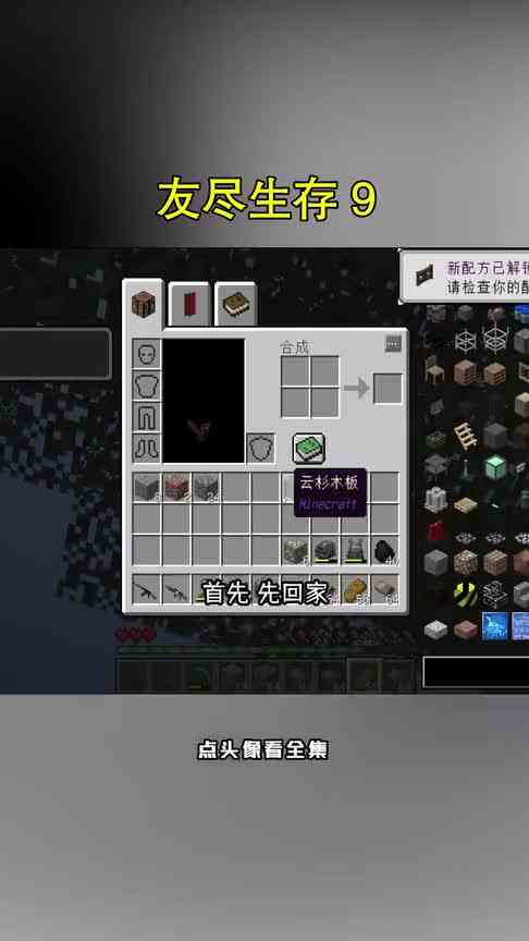 我的世界：友尽生存9敌人的敌人是盟友
