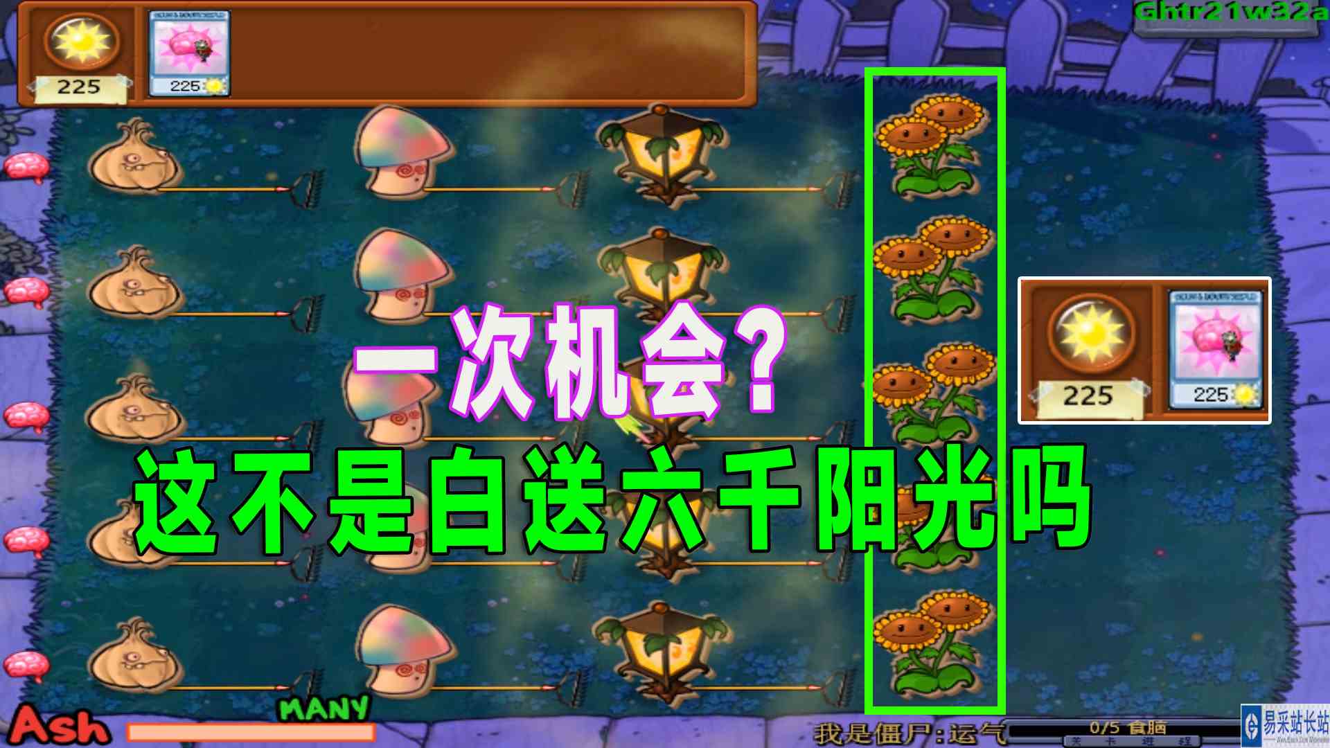 植物大战僵尸：运气好到爆，一次机会直接通关#植物大战僵尸