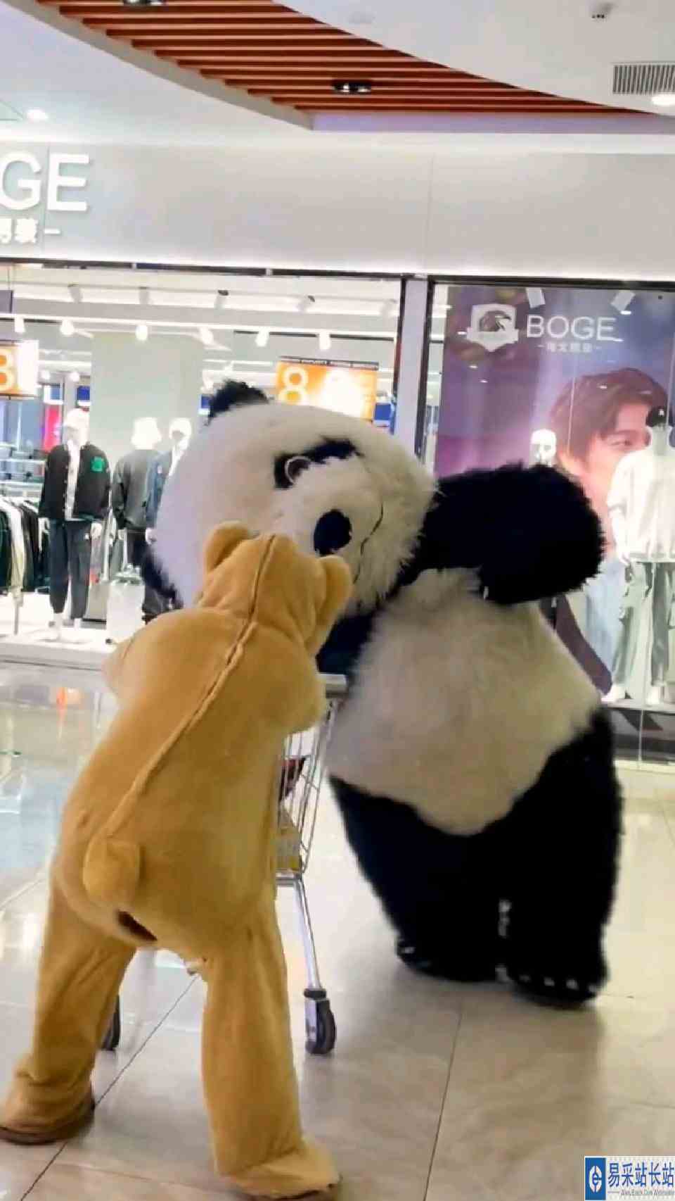 这不一下子把躲闪给玩明白了！