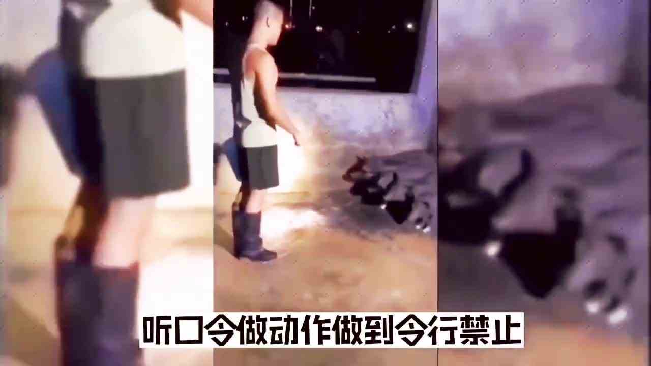 猪：谢谢你给了我军营的体验