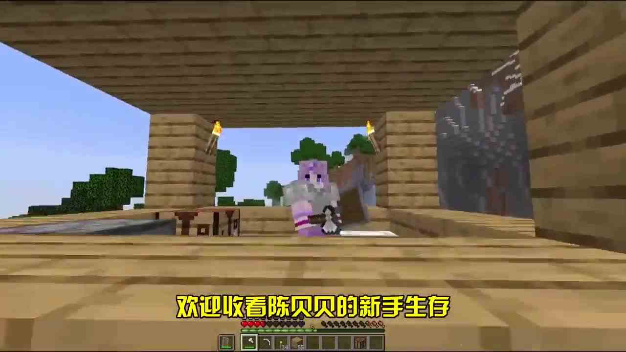 我的世界：这个小黑为什么会莫名其妙打我呀！有谁知道为什么吗？