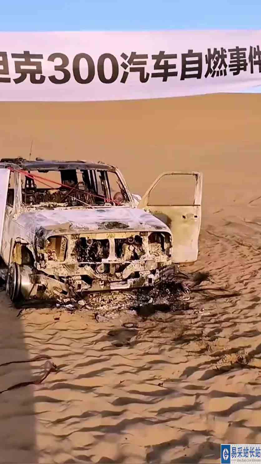 沙漠坦克300几乎占了百分之六十！网友：听说无敌2档，结果着了！