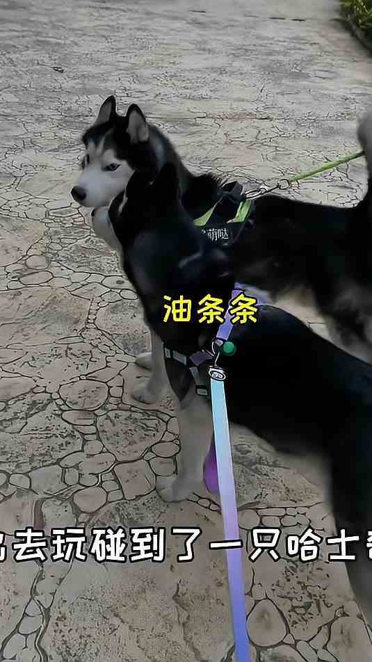 退一步越想越气！