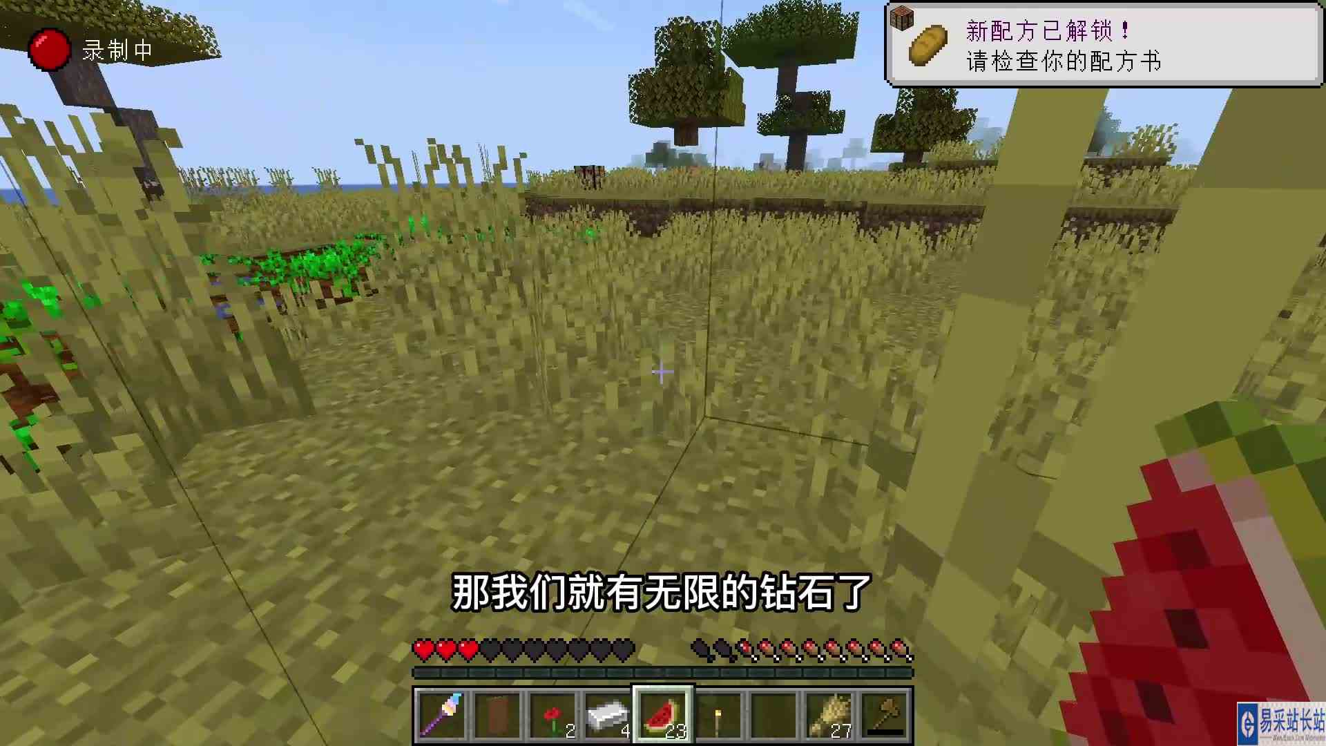 我的世界：当这个世界出现魔法棒！万物皆可复制！