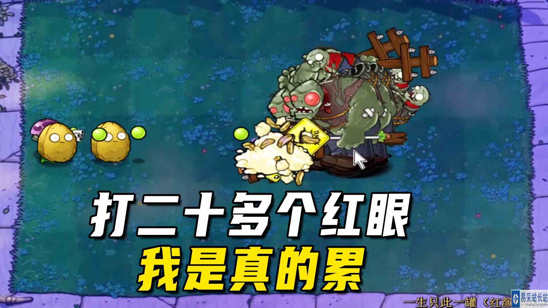 植物大战僵尸：一生一罐（红颜祸水）下，打二十多个红眼，真的累#植物大战僵尸#单机游戏