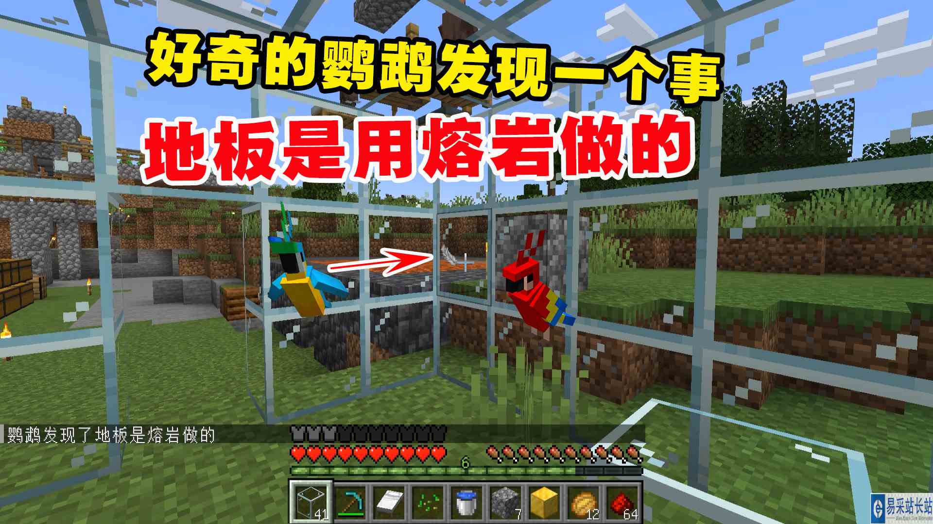 我的世界凋零风暴9：好奇的鹦鹉发现一个事！地板是用熔岩做的#我的世界#沙盒游戏