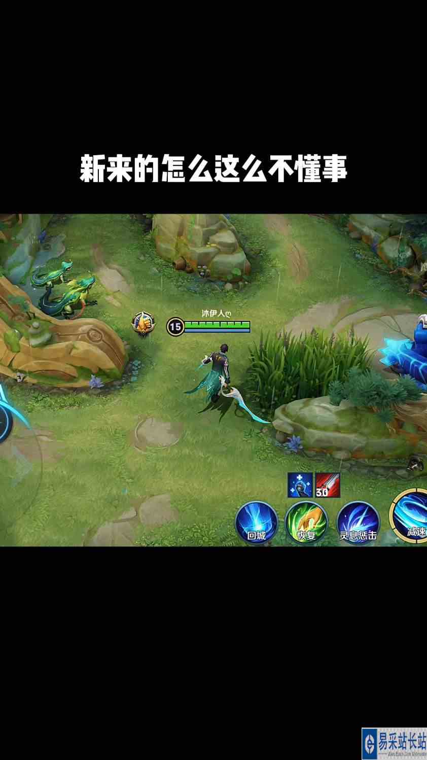 新来的赵怀真怎么这么不懂事？