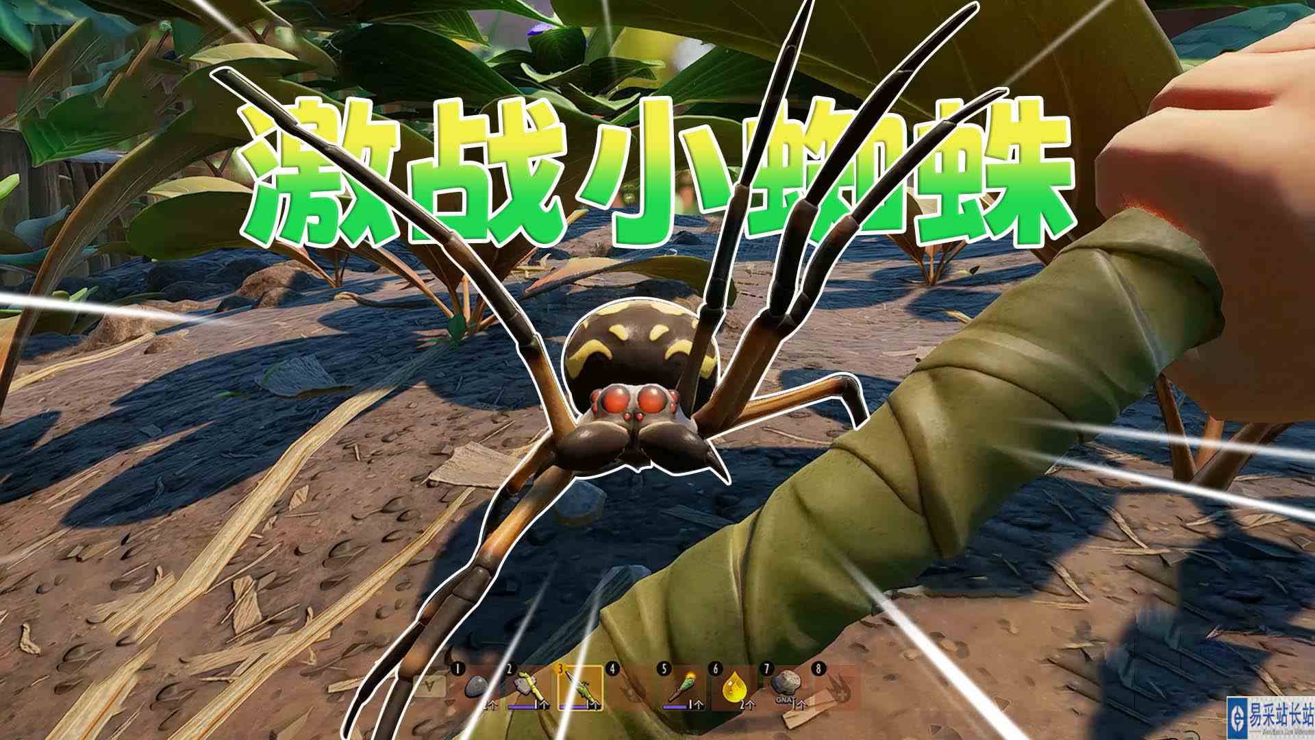 禁闭求生03：激战小蜘蛛 缩小后连只幼年期的蜘蛛都打不过了