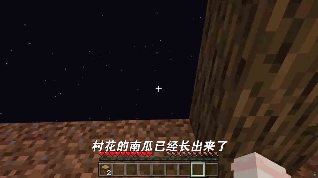 我的世界：村花化身媒婆，给羊驼介绍对象，找老实人接盘？