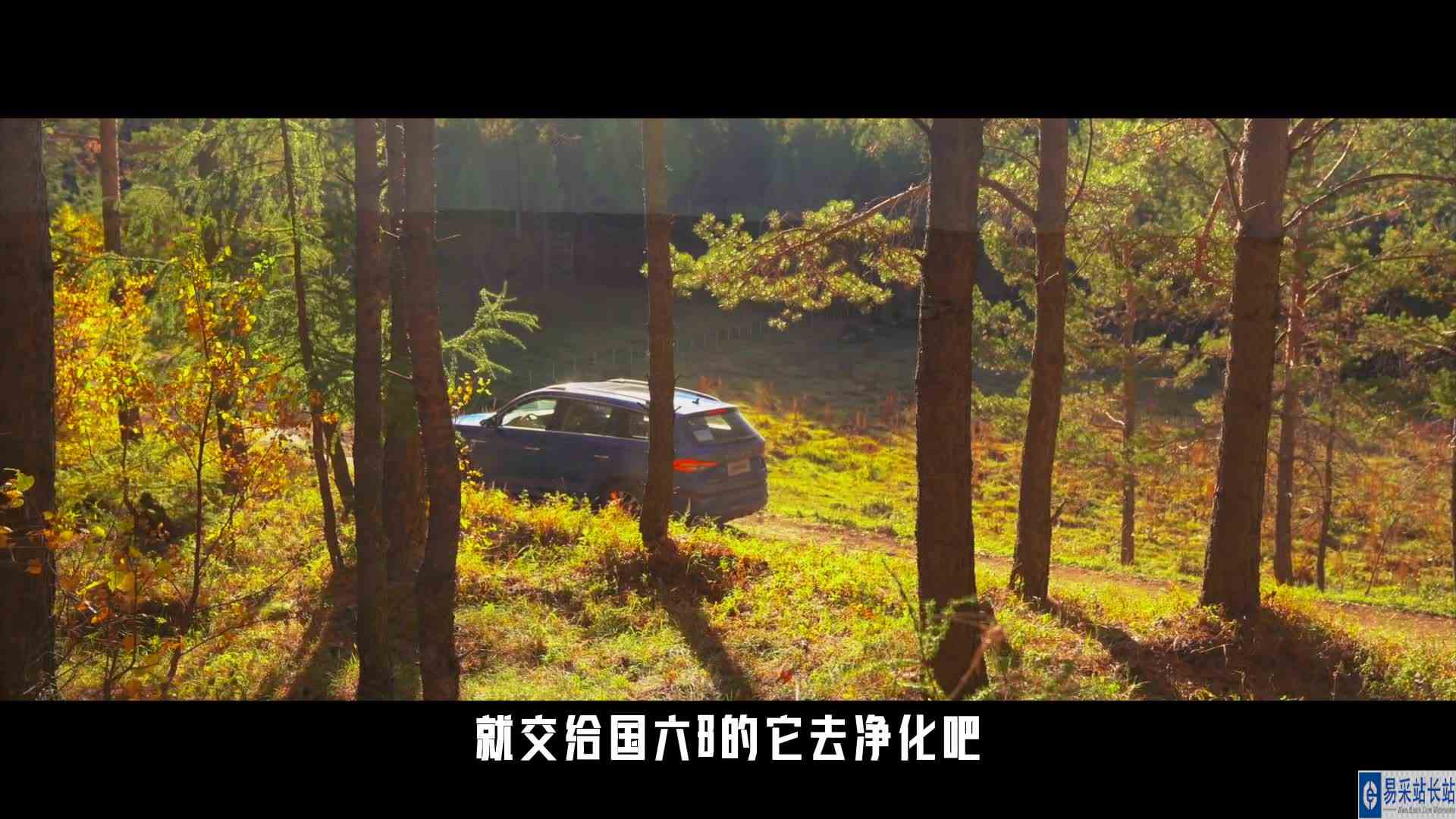 我和棕熊都有了归宿！忘掉996，与柯迪亚克去到幻想的平行世界
