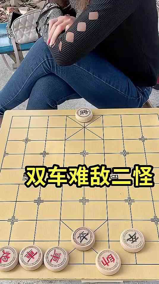 象棋残局 双车难敌二怪