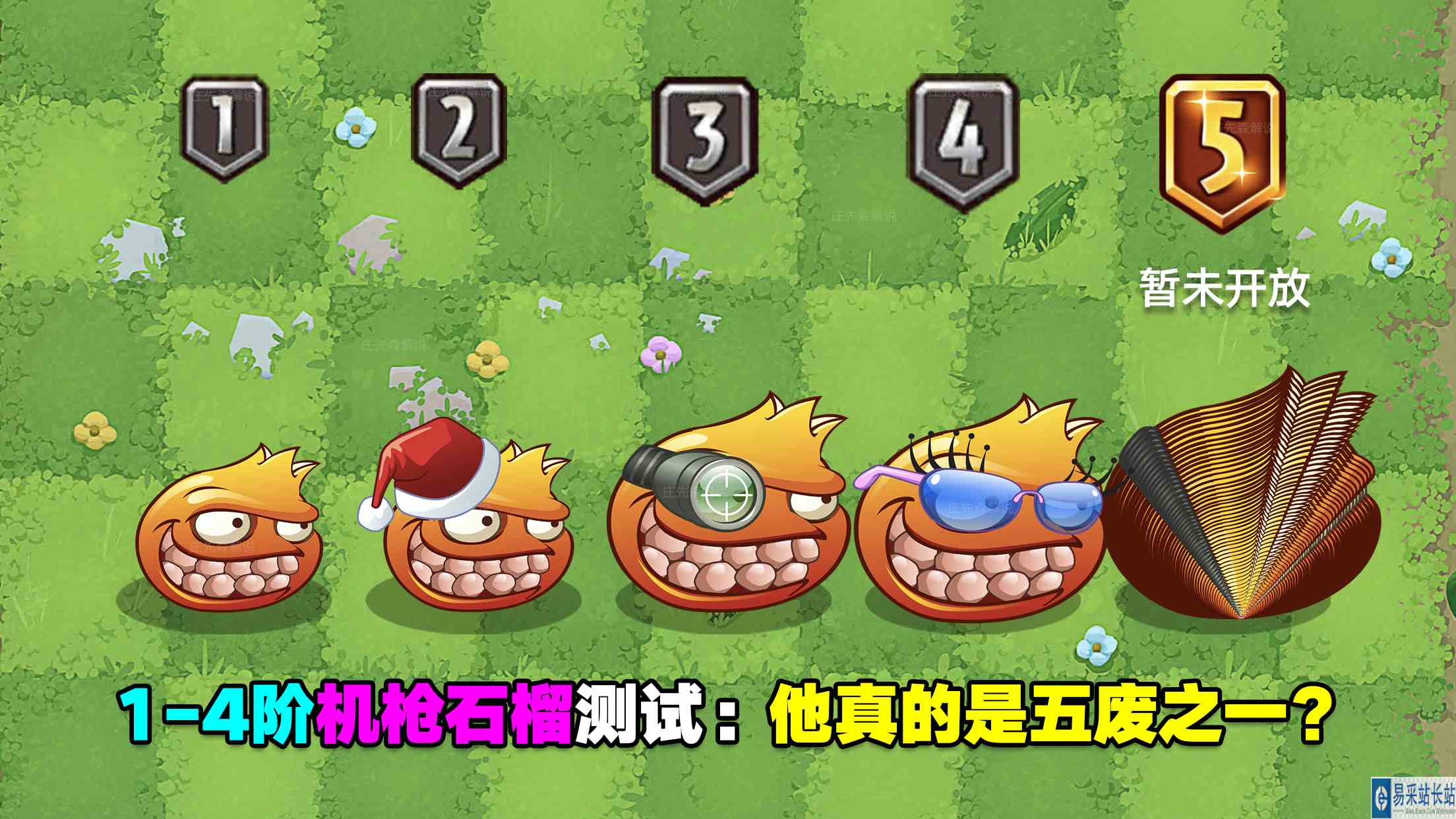 1\-4阶机枪石榴测评：攻击其实蛮高的，5废？不存在！#最强射手组