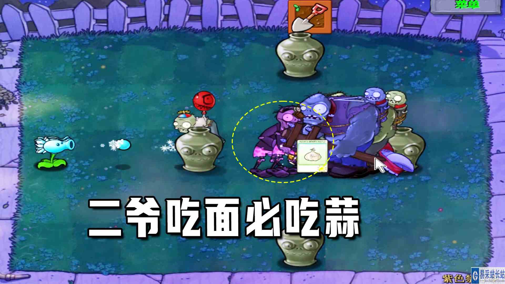 植物大战僵尸：紫色禁行令（上）二爷吃面必吃蒜，不然香味少一半#植物大战僵尸#单机游戏