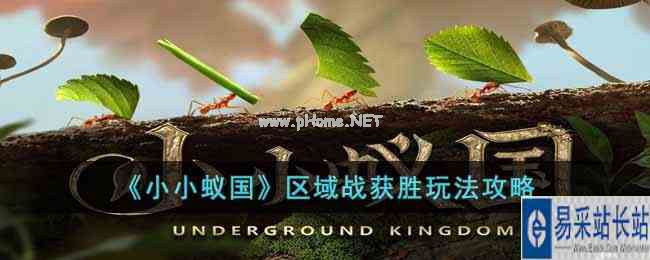 《小小蚁国》区域战获胜玩法攻略