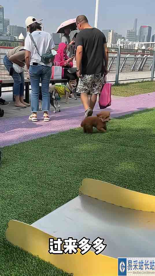 多多：是我，倒霉蛋……