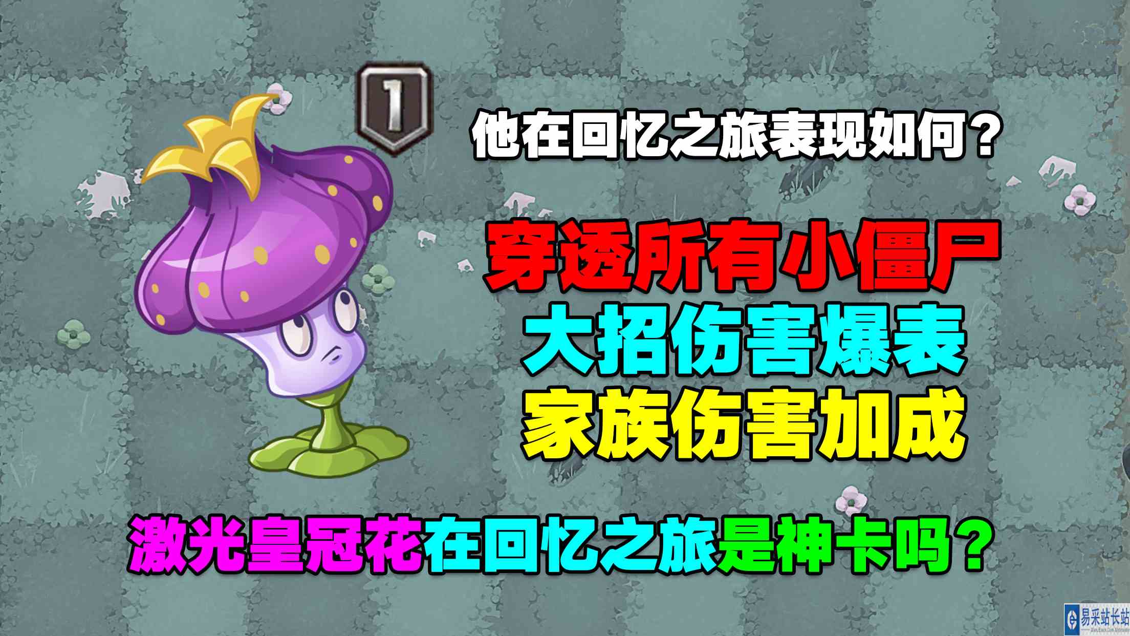 PVZ资讯：激光皇冠花在回忆之旅表现如何？真的是神卡吗？#最强射手组