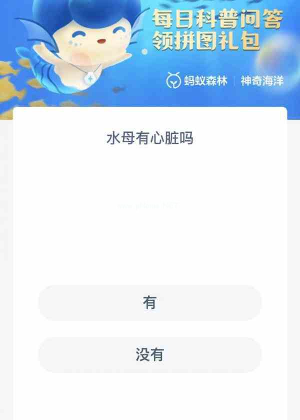 水母有心脏吗
