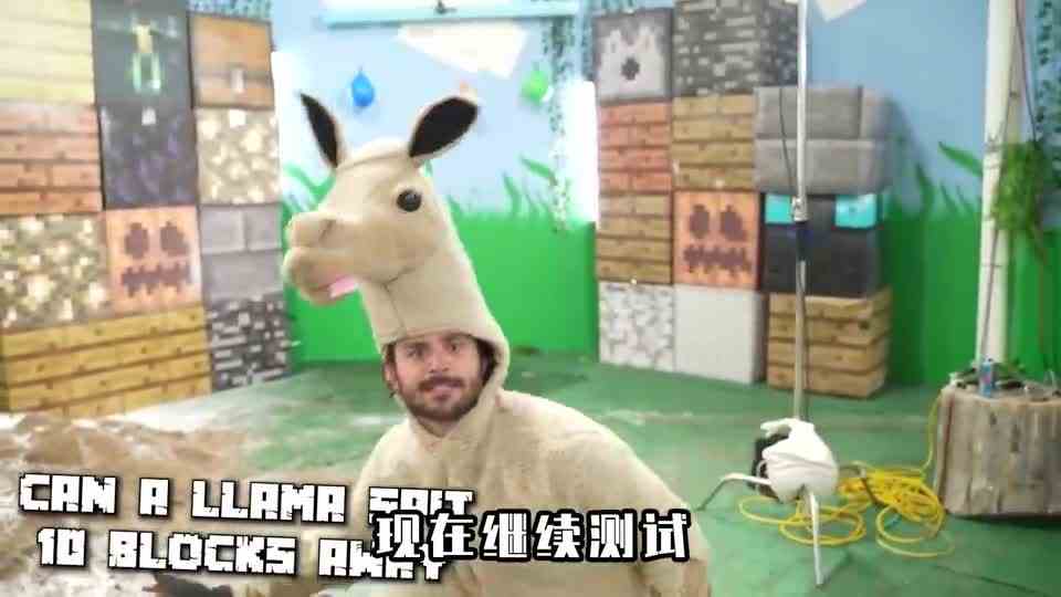 我的世界：在现实生活中测试mc谣言，在鸡面前吃鸡，有考虑过鸡吗