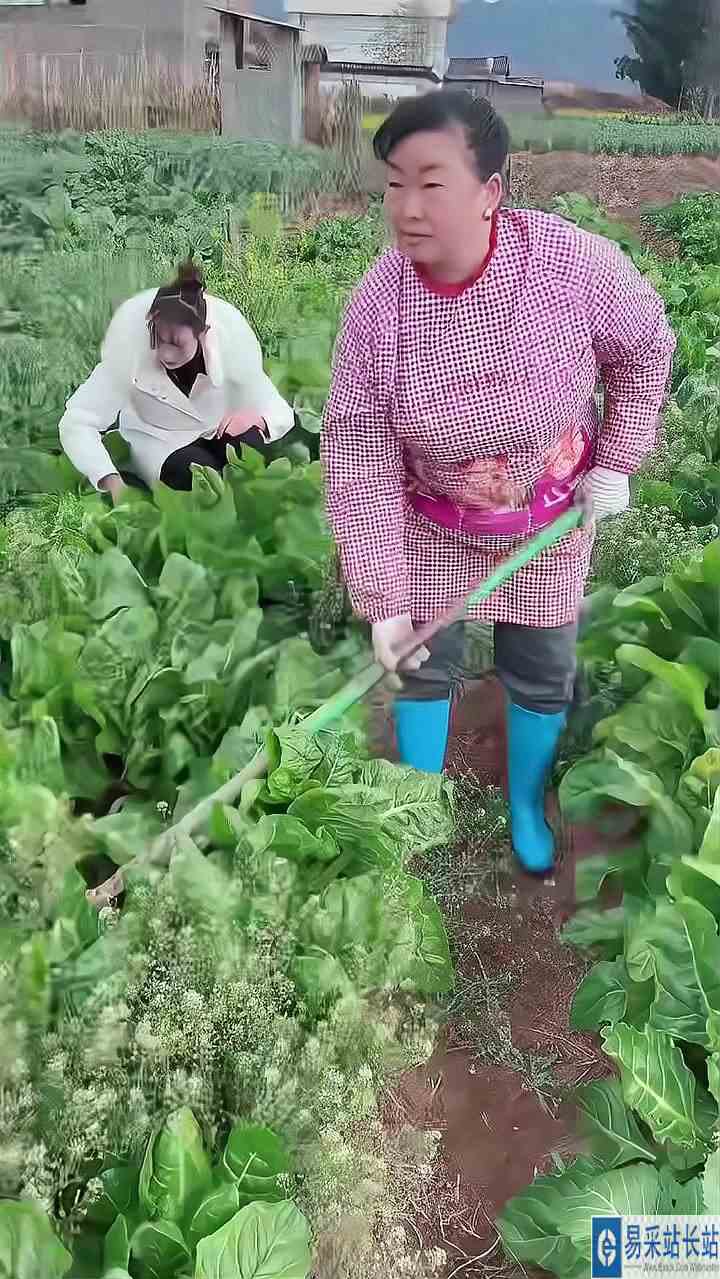 再跑慢点又挨打了