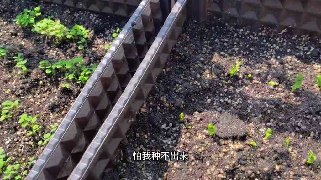9点直播哈，准备了好看的衣服，抽奖送给你
