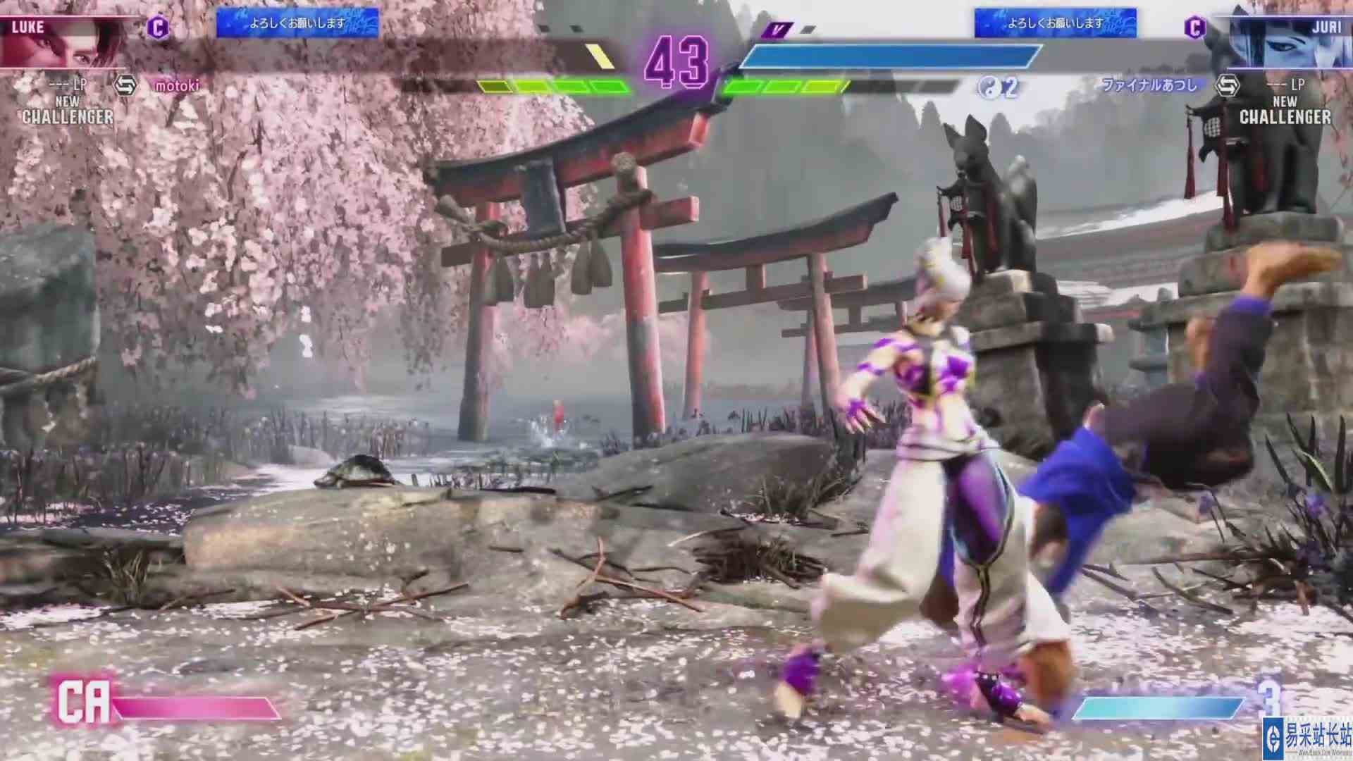 街霸 6：Otani（卢克）VS Pugera（茱莉） #最强对抗组 #游戏新星扶持计划 