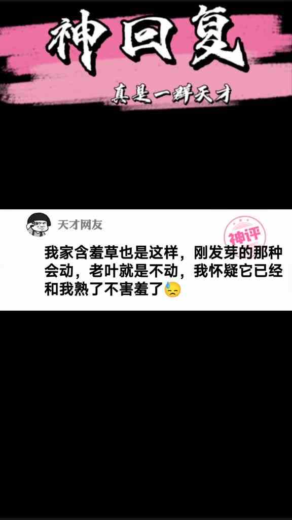 笑阿！等啥呢！