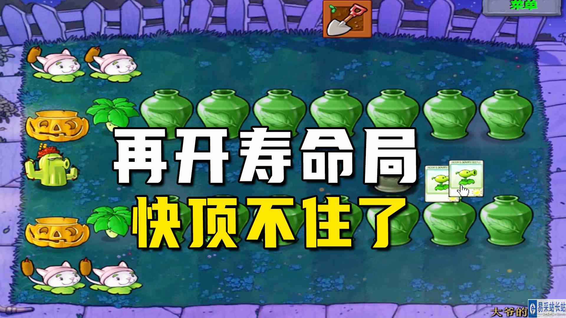 植物大战僵尸：大爷的逆袭（下），再开寿命局，快顶不住了#植物大战僵尸#单机游戏