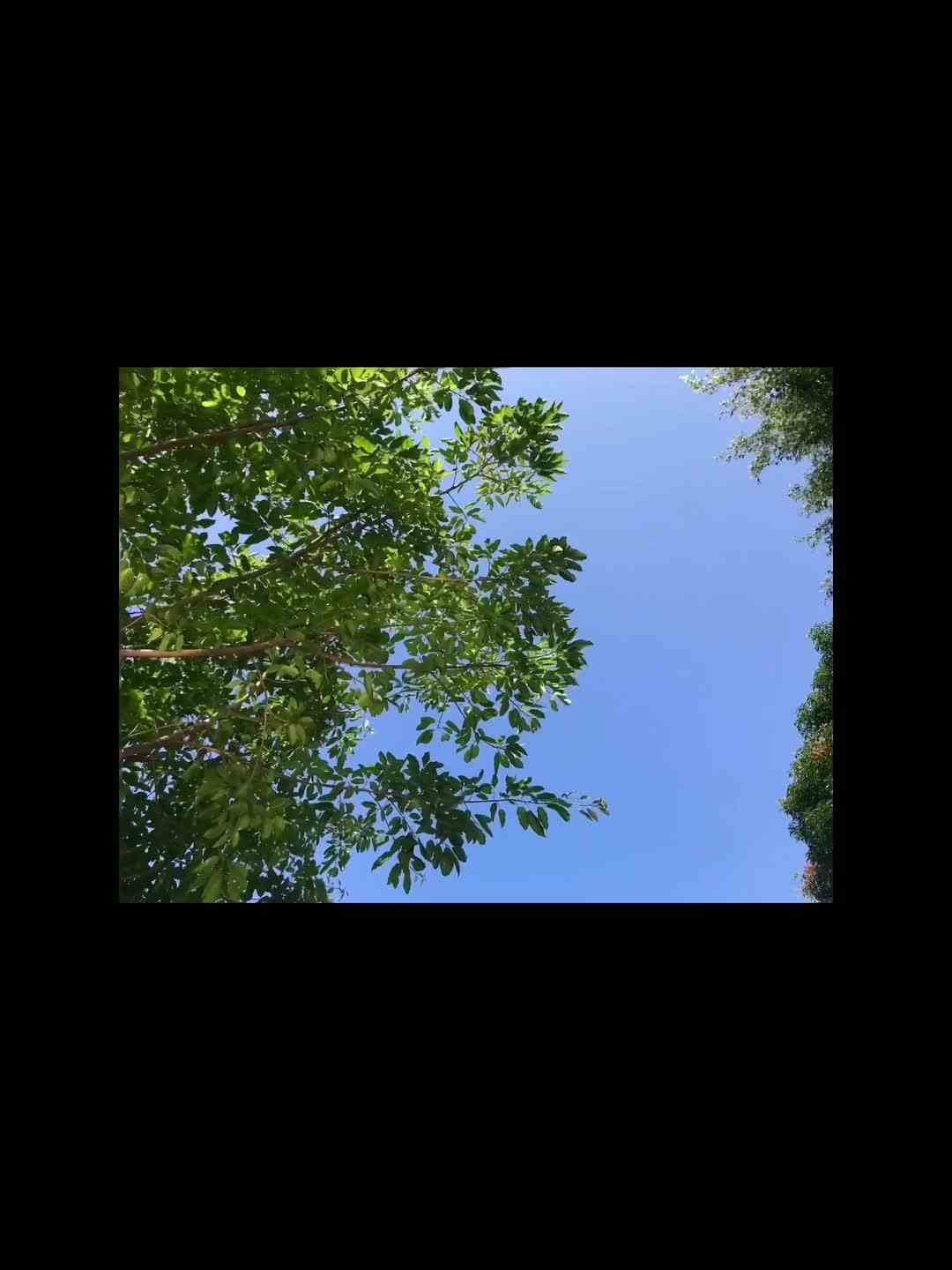 现在已经是暖阳不是烈日了